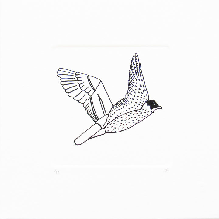 Bird 22