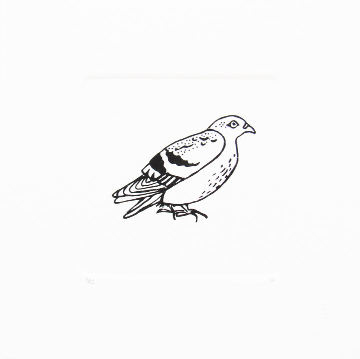 Bird 25