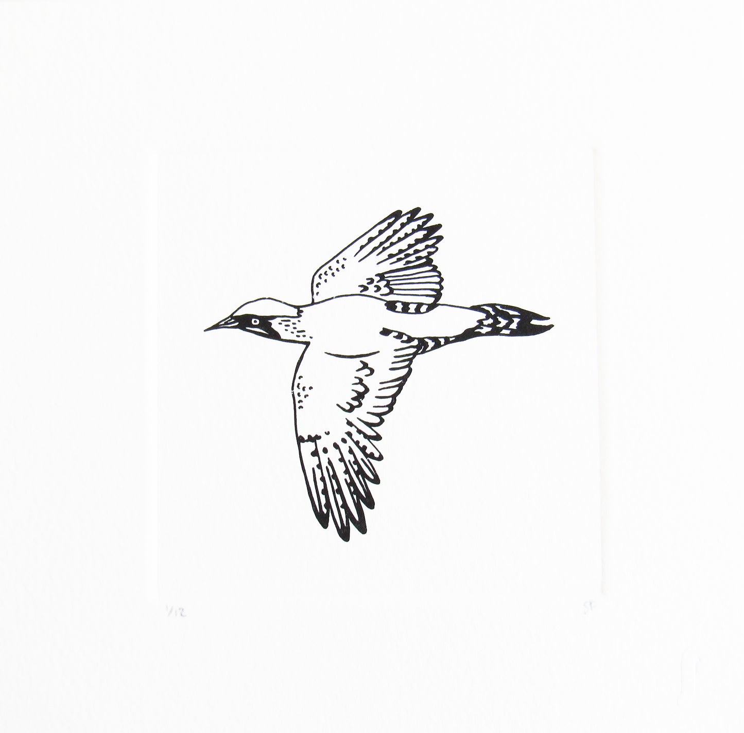 Bird 28