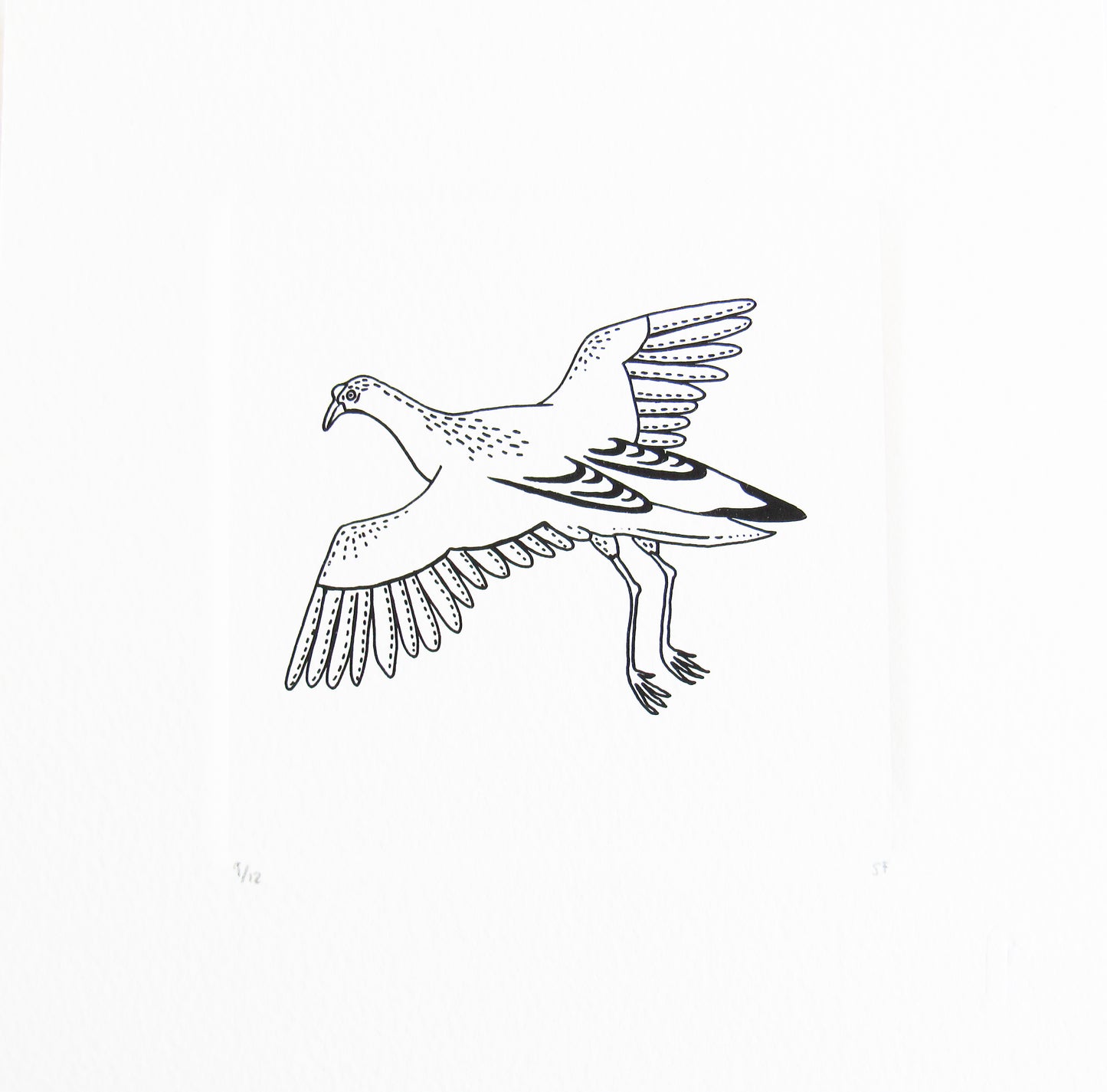 Bird 29