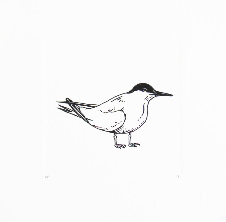 Bird 31
