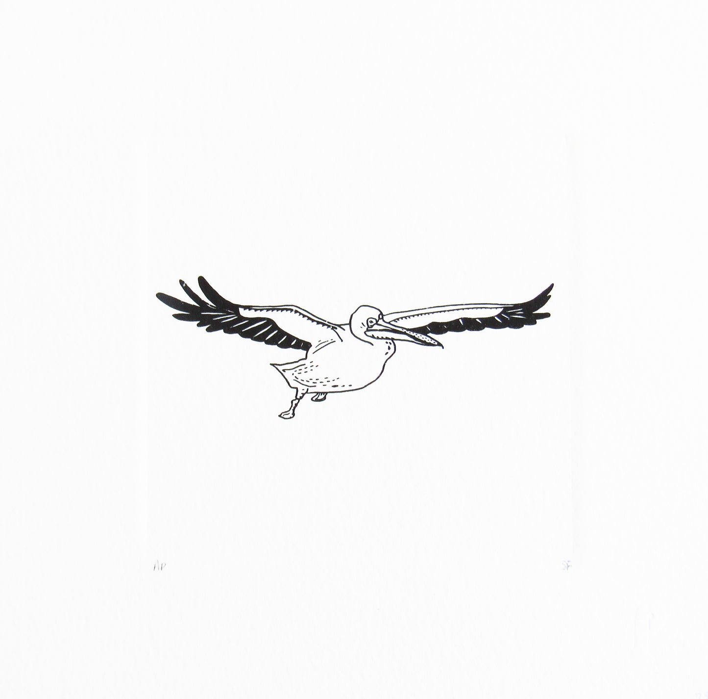 Bird 32
