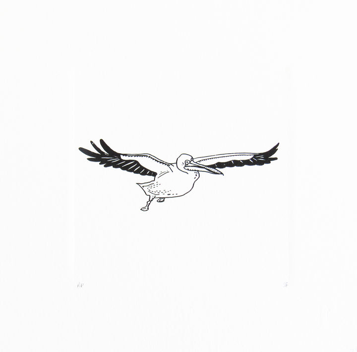 Bird 32
