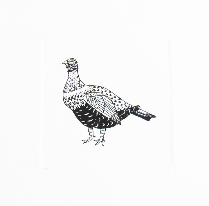 Bird 33