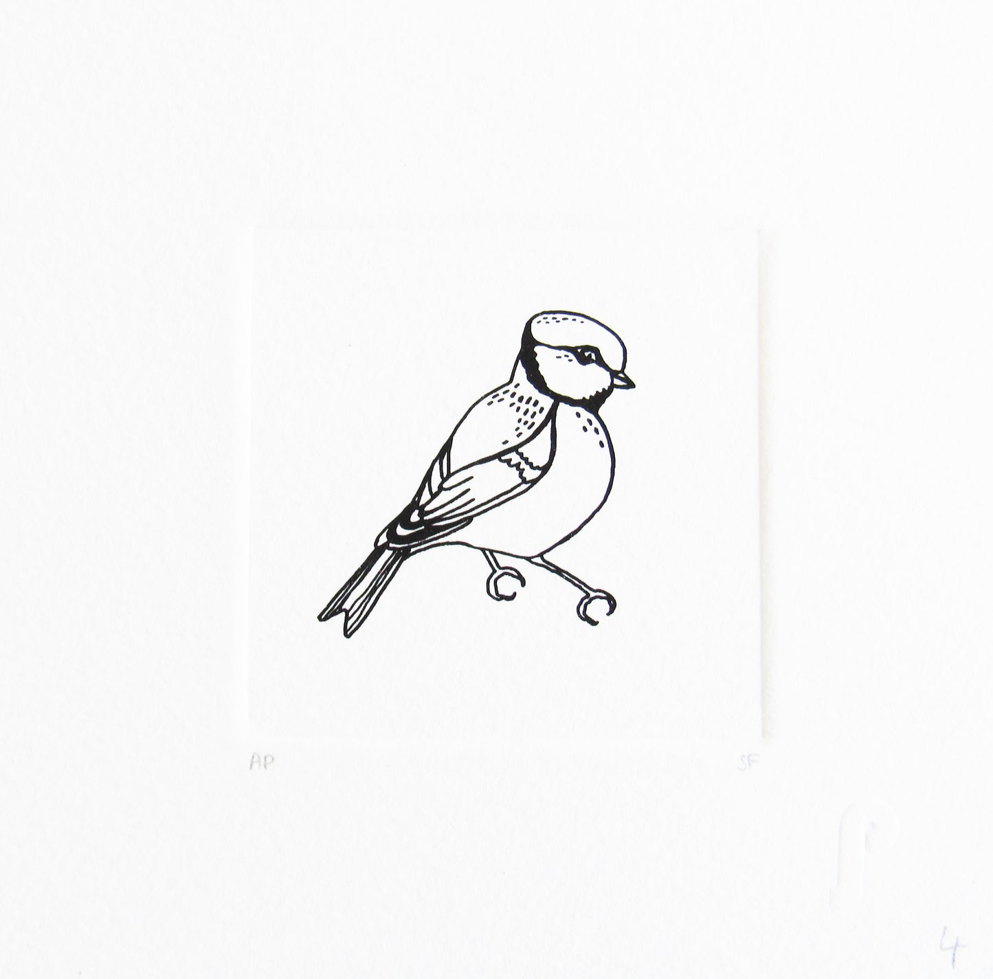Bird 34