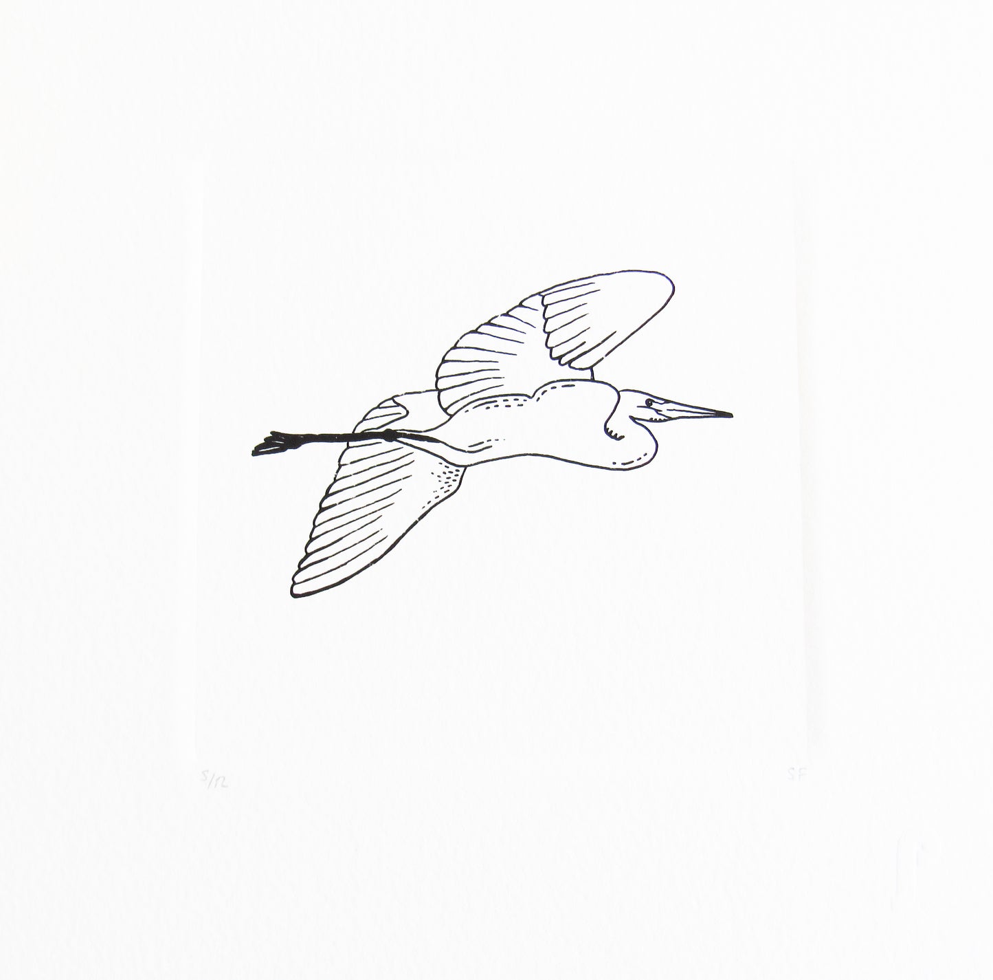Bird 38