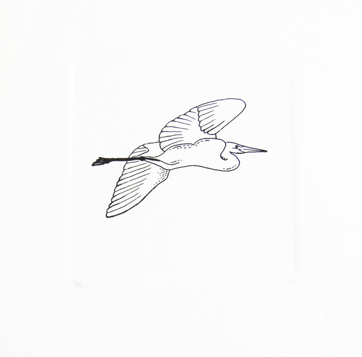 Bird 38