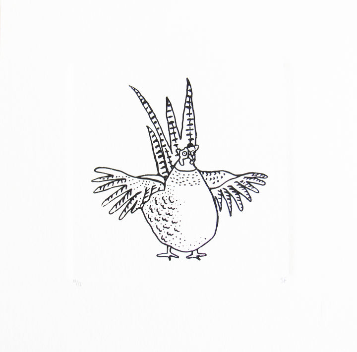Bird 39