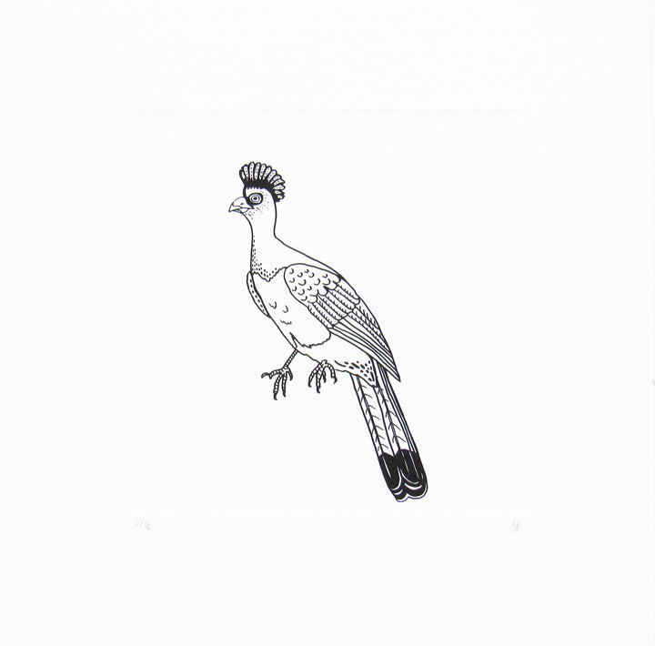 Bird 46