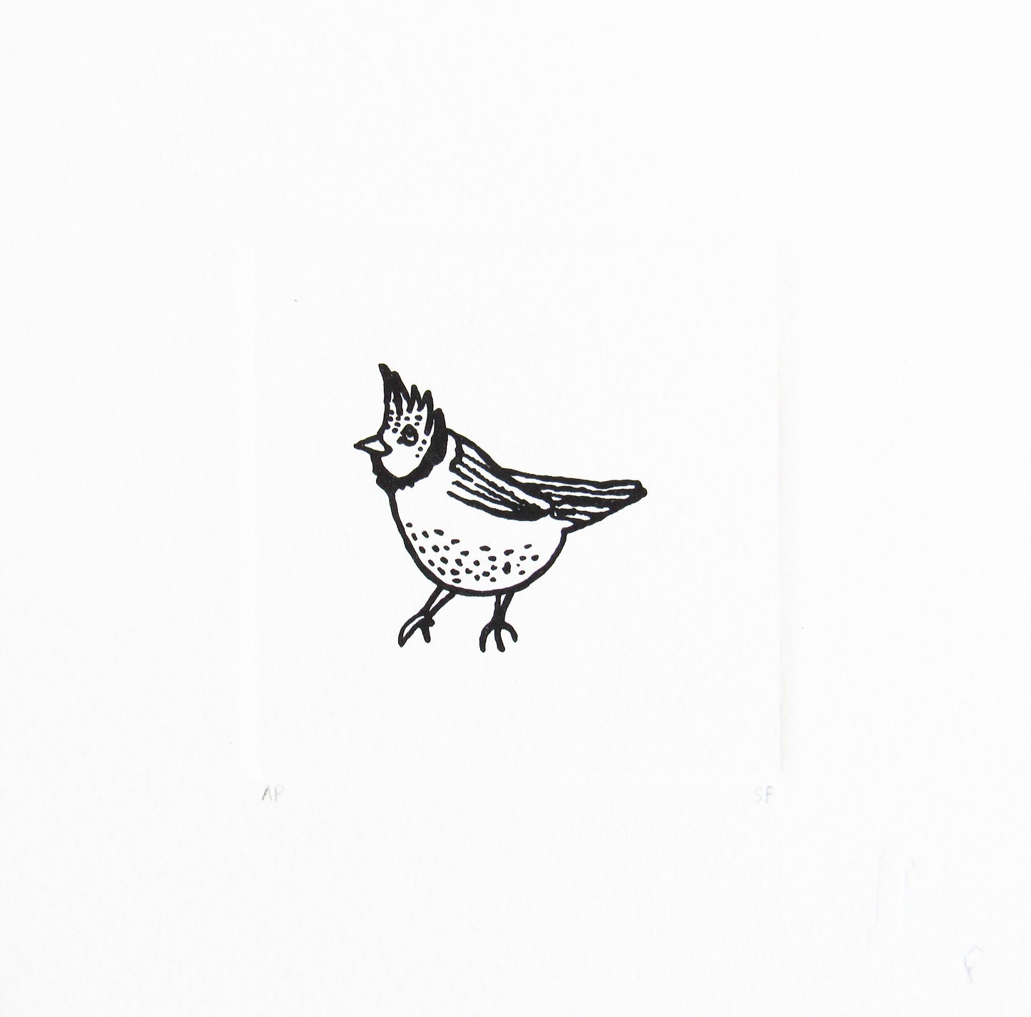 Bird 41