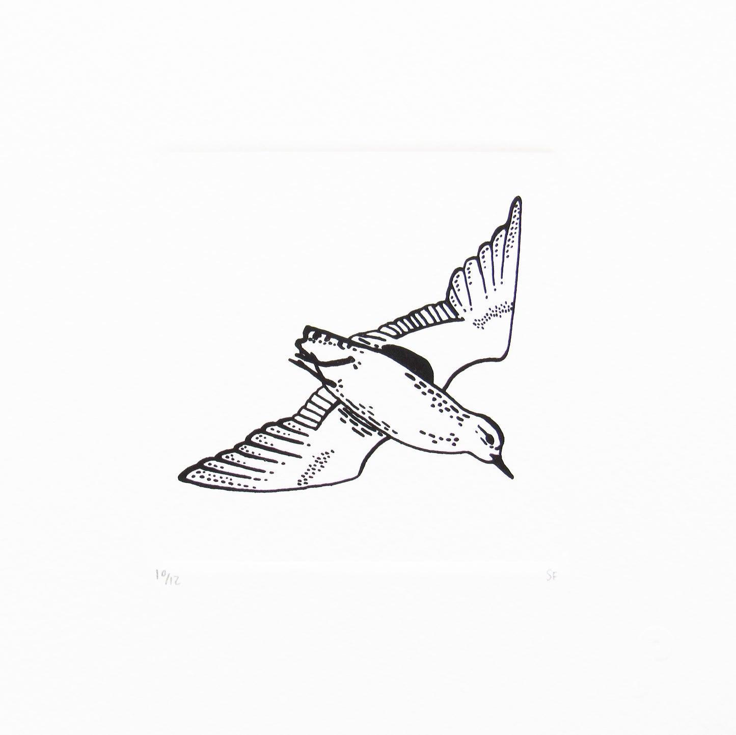 Bird 42
