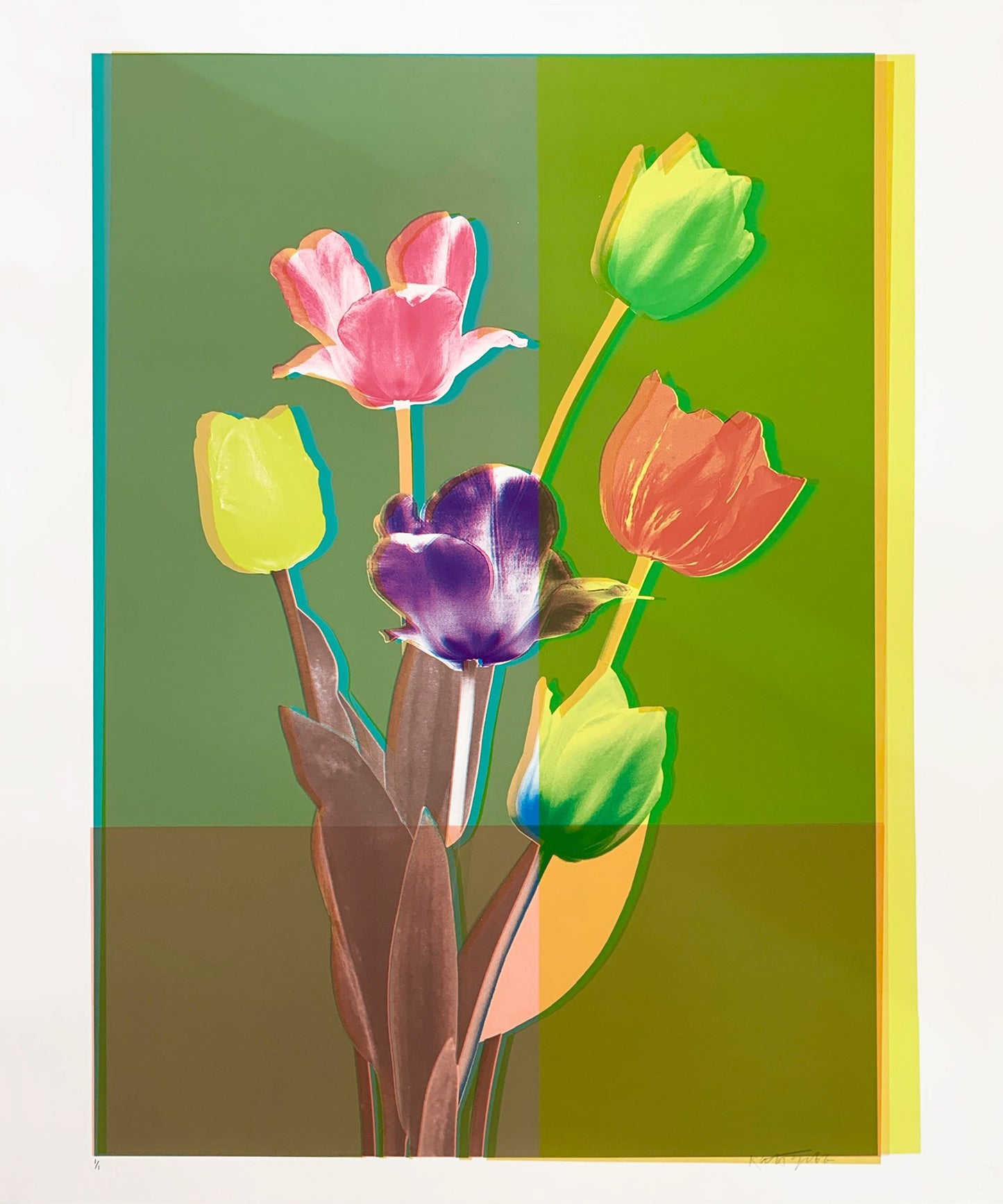Tulips - Unique AP