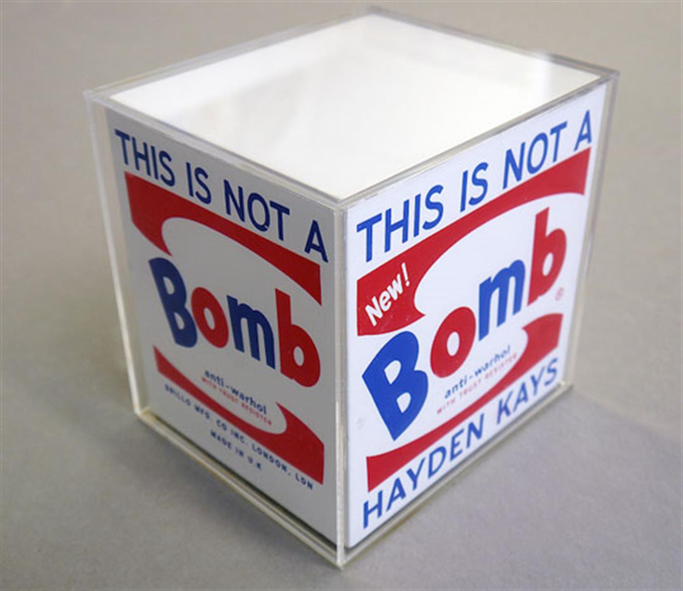 This Is Not a Brillo Box