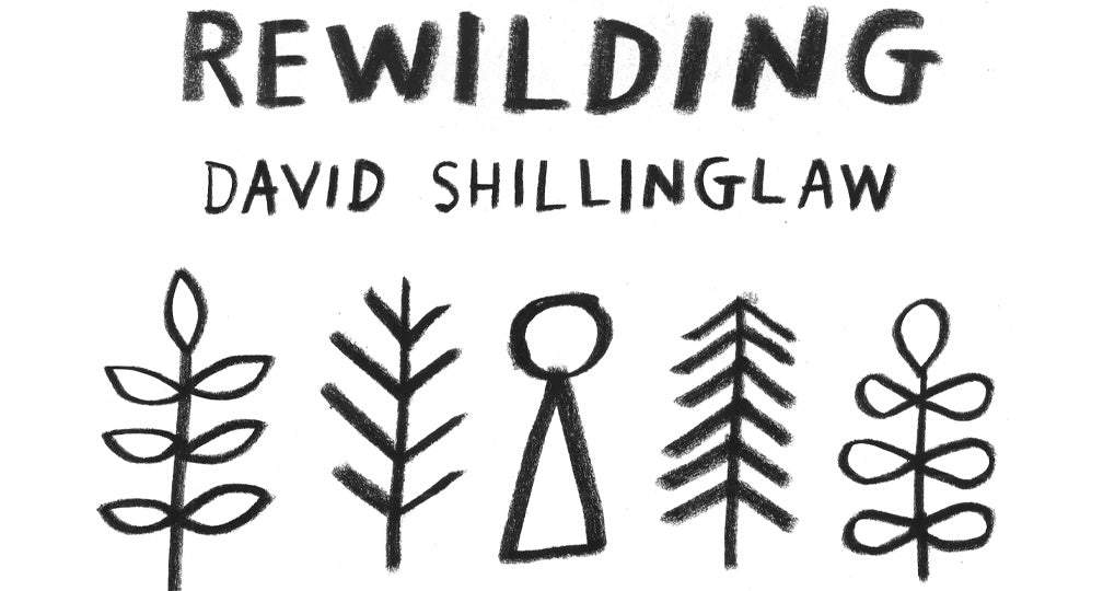 Rewilding