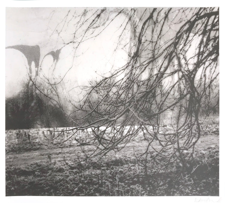 Ed Burnand