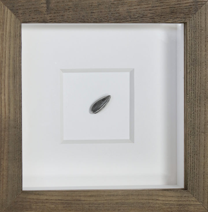 Ai Wei Wei Sunflower Seed