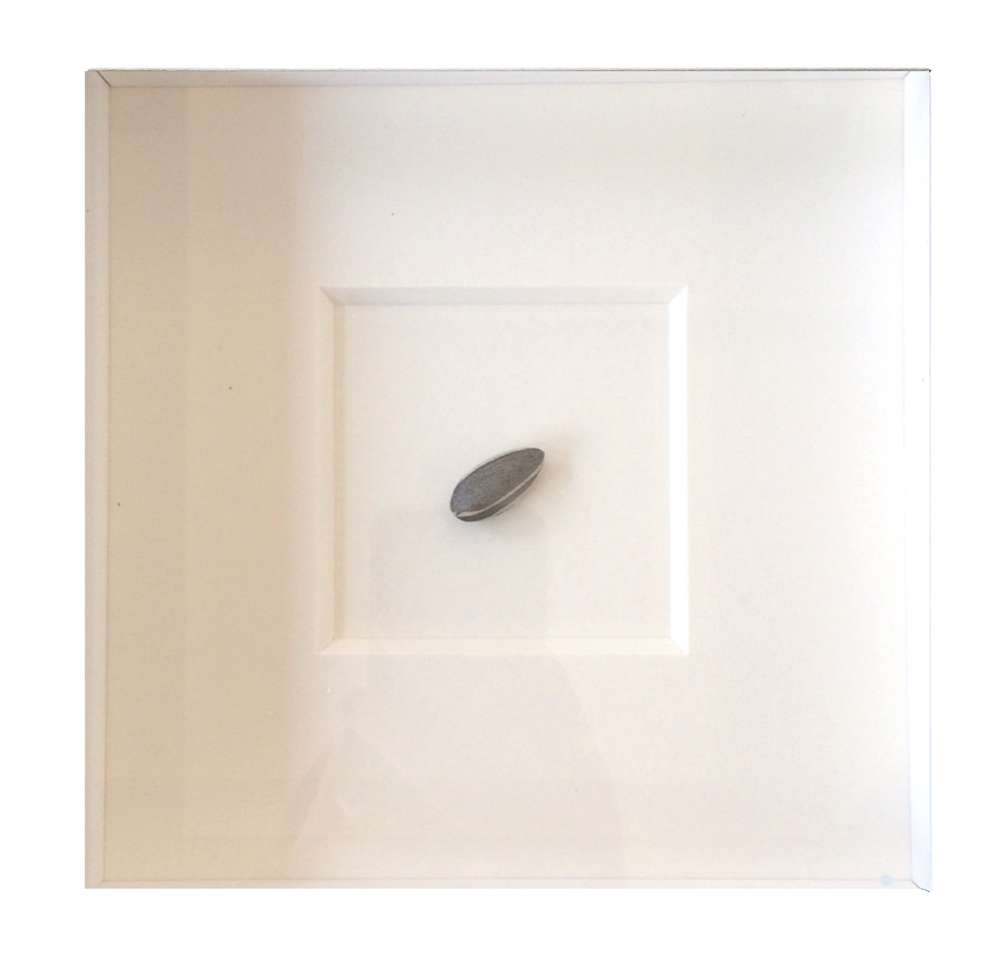 Ai Wei Wei Sunflower Seed