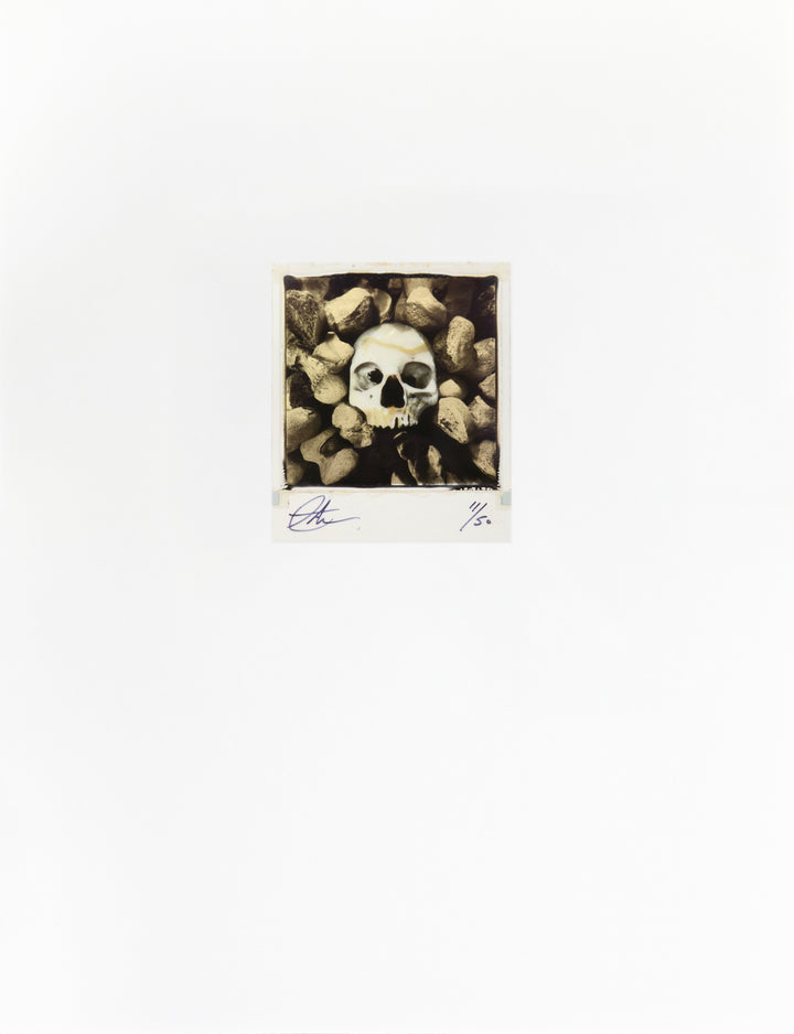 With Daisies Lie