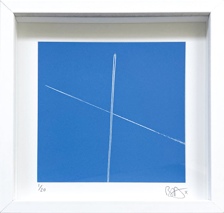 Autopilot Love (Avian IX) - Framed