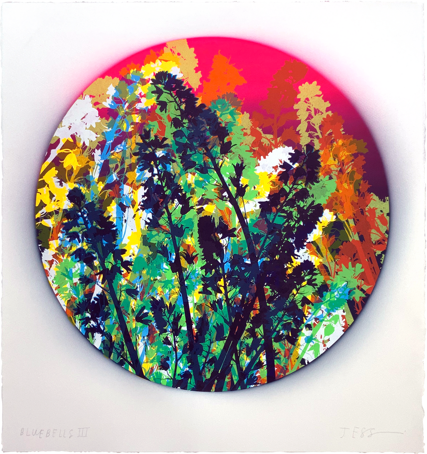 Bluebells 03