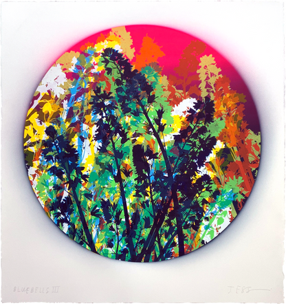Bluebells 03