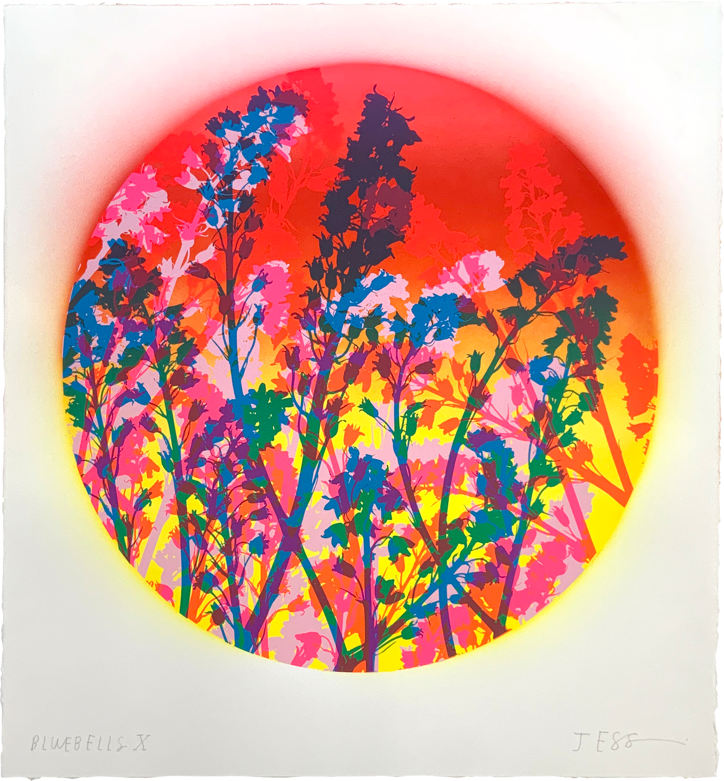 Bluebells 10