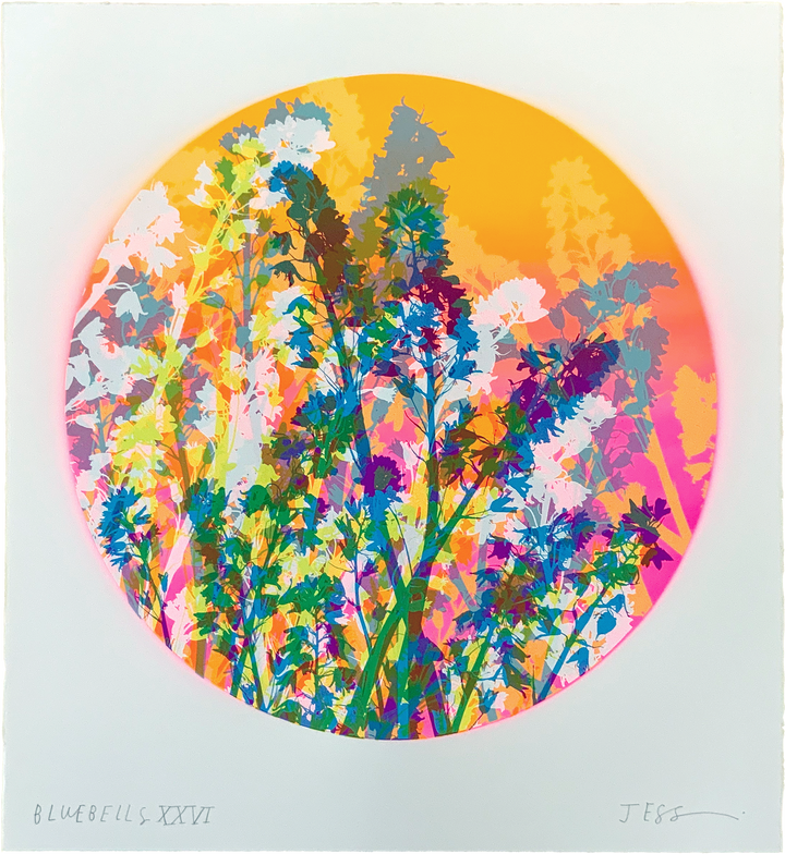 Bluebells 26