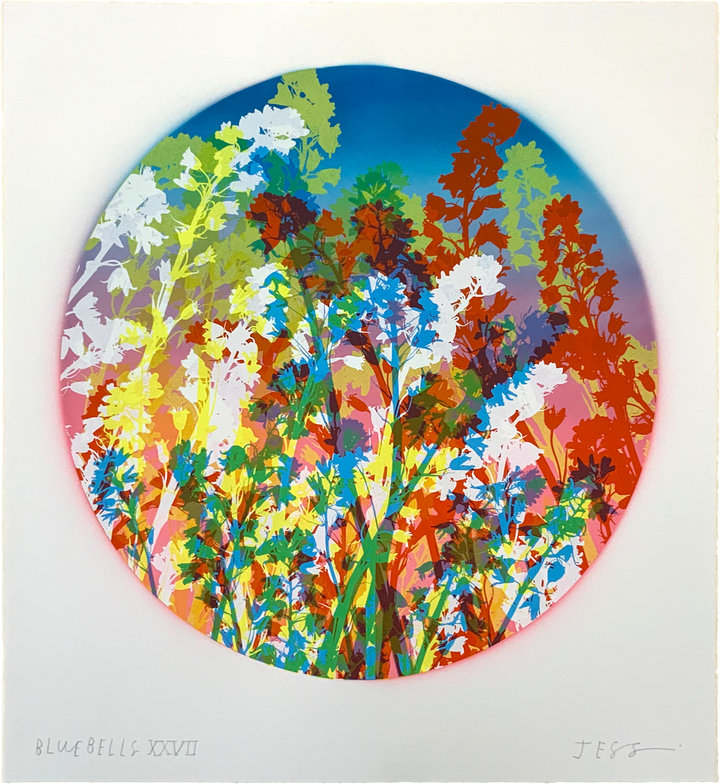 Bluebells 27