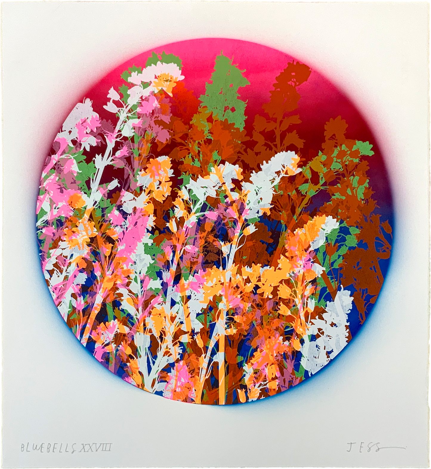 Bluebells 28