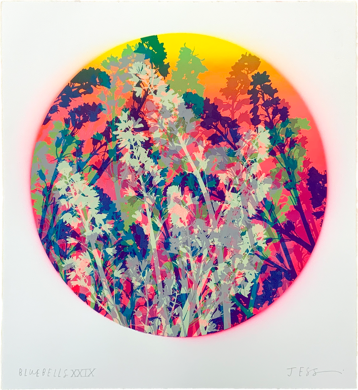 Bluebells 29