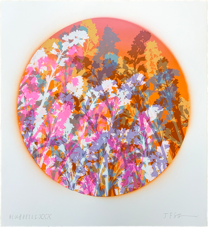 Bluebells 30