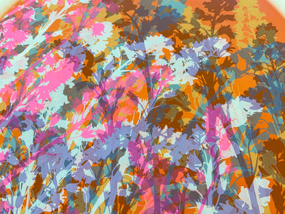 Bluebells 30