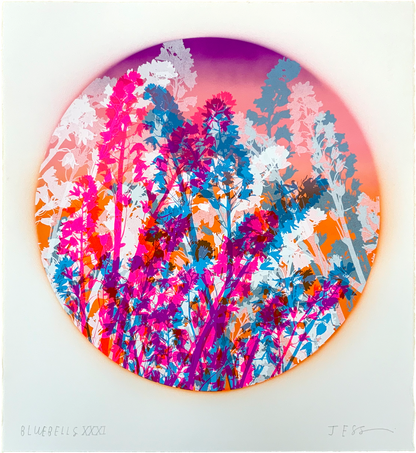 Bluebells 31