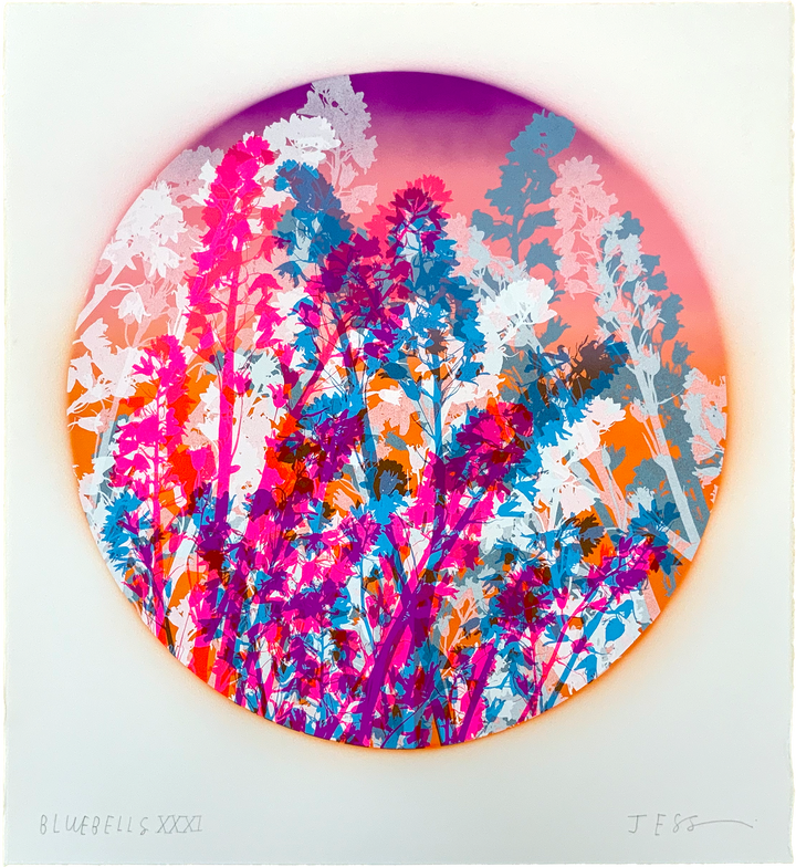 Bluebells 31