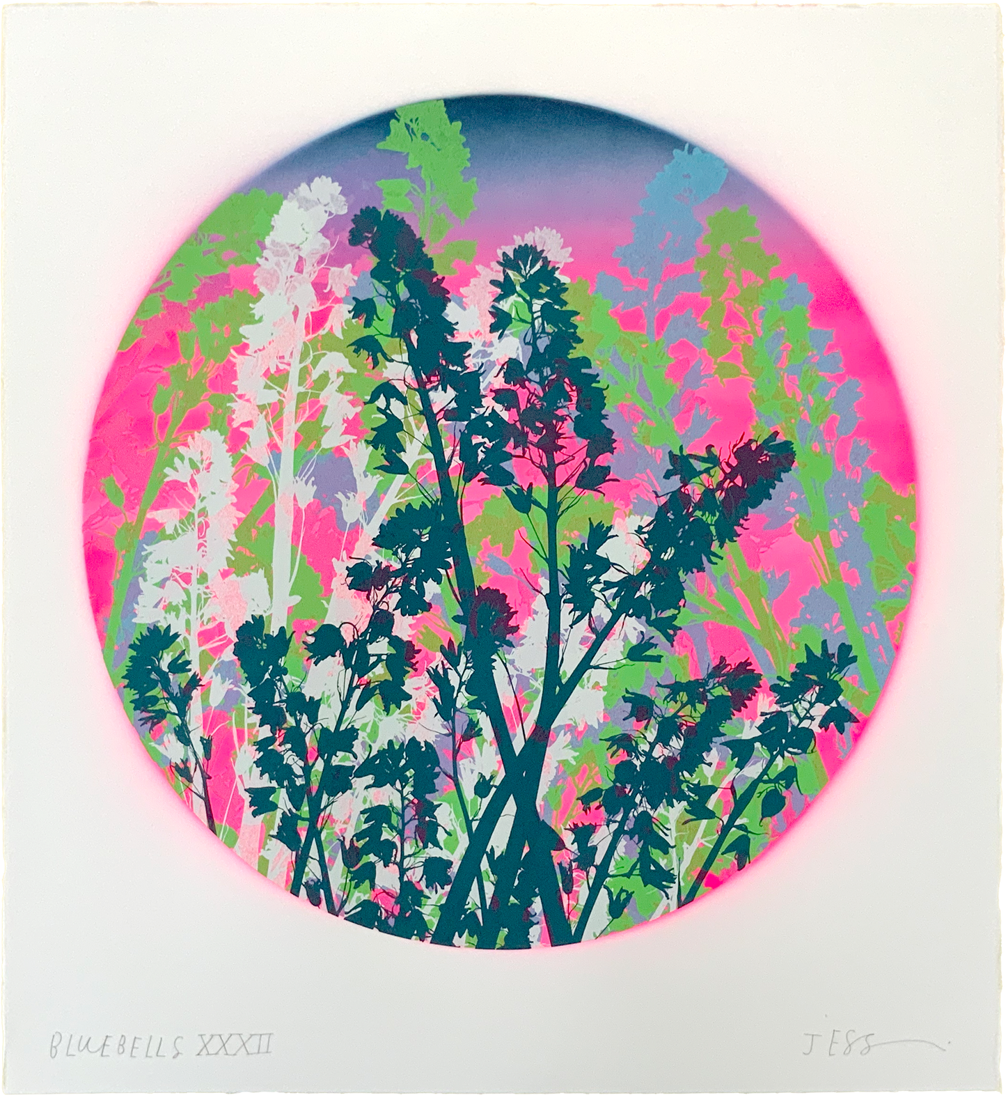 Bluebells 32
