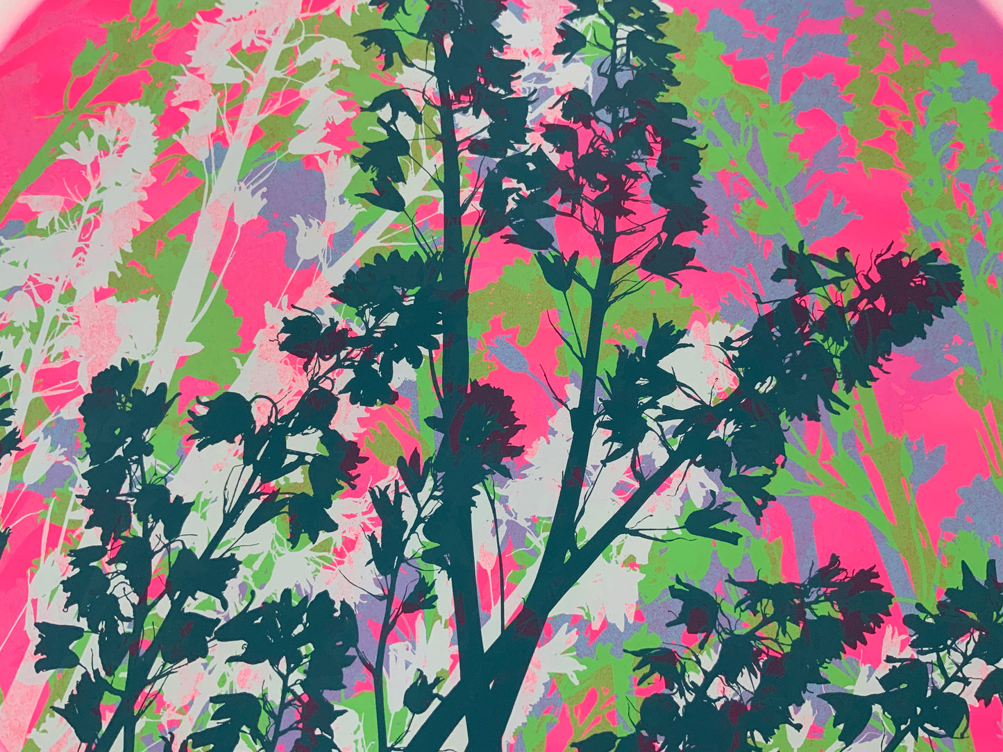 Bluebells 32