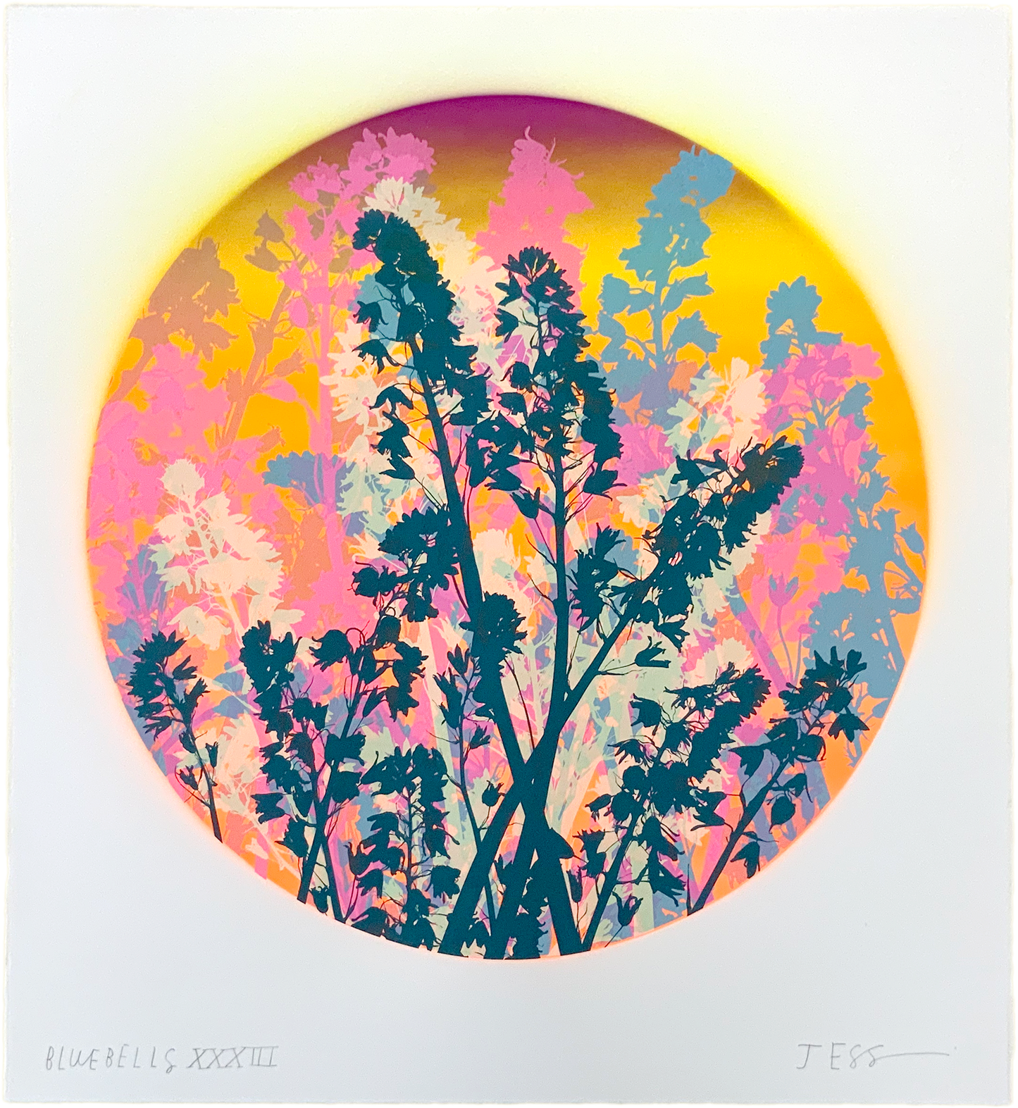 Bluebells 33