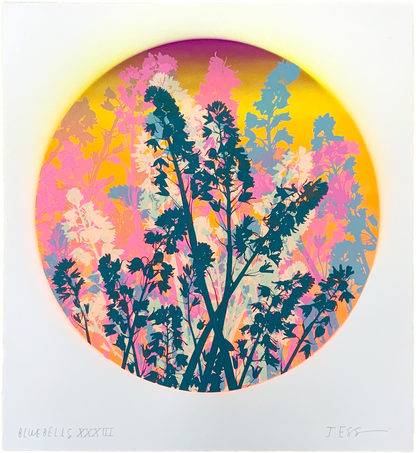 Bluebells 33