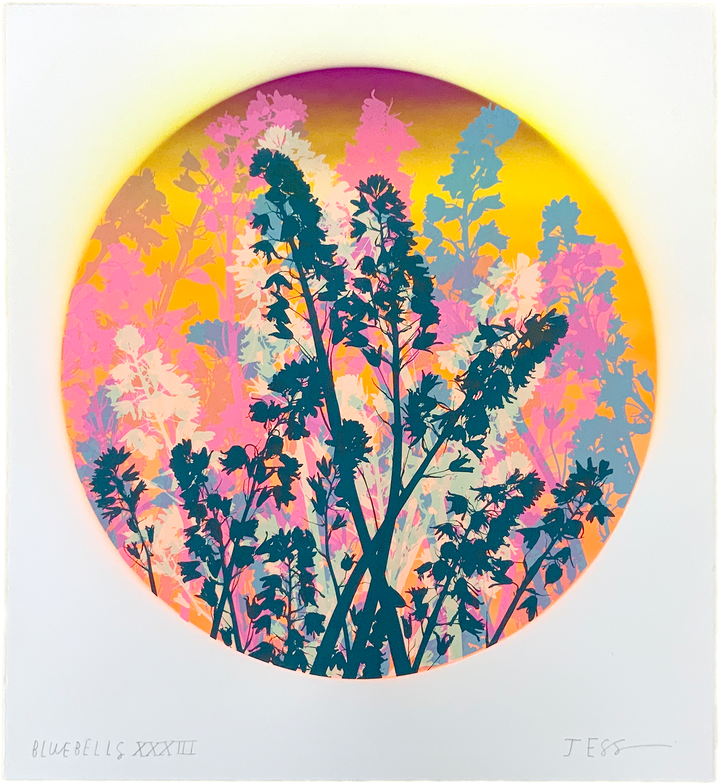 Bluebells 33