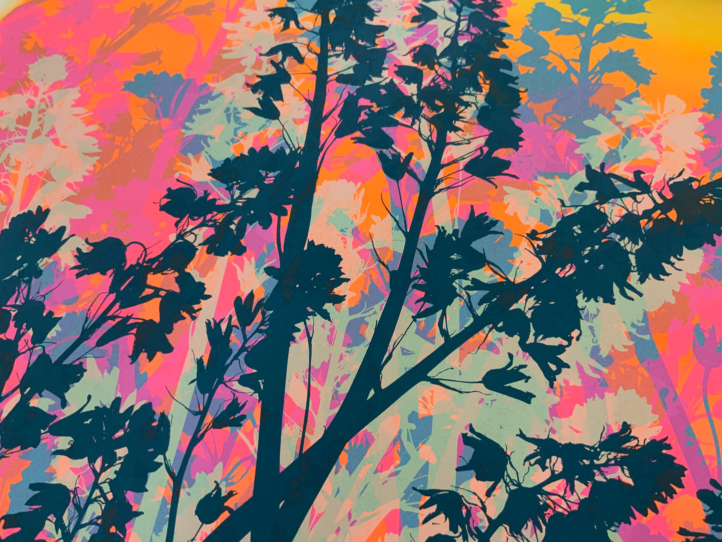 Bluebells 33