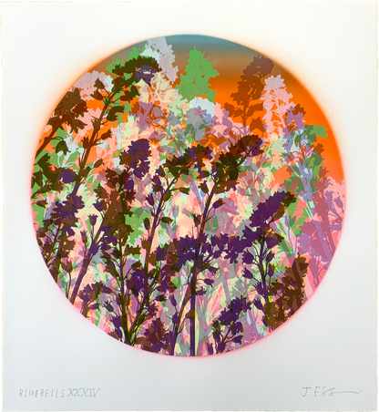Bluebells 34