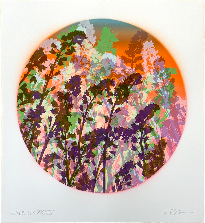 Bluebells 34
