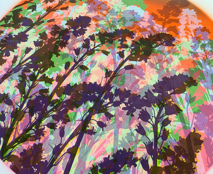 Bluebells 34