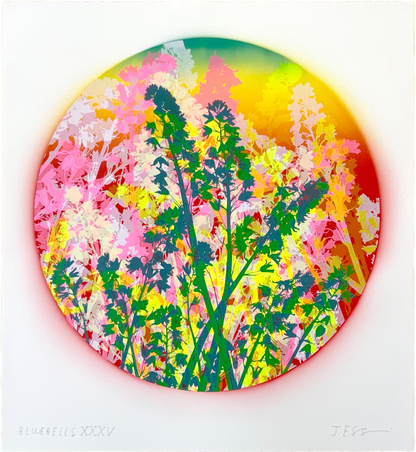 Bluebells 35
