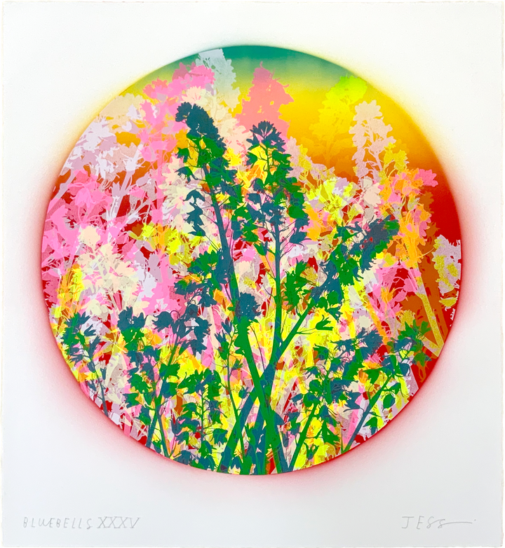 Bluebells 35