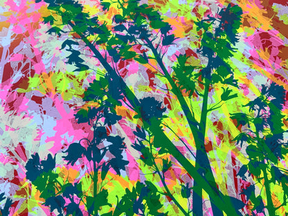 Bluebells 35