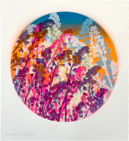 Bluebells 36