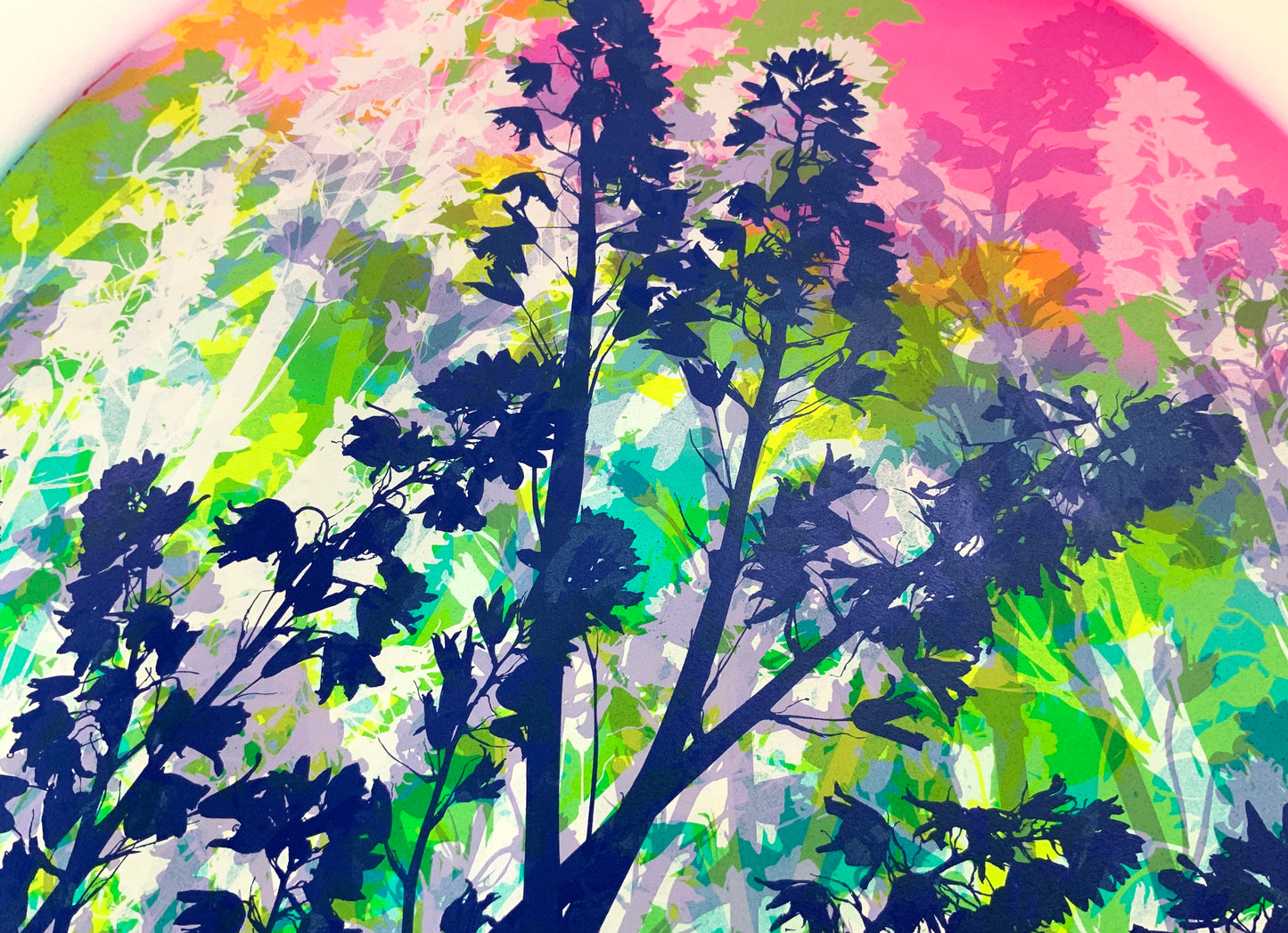 Bluebells 37