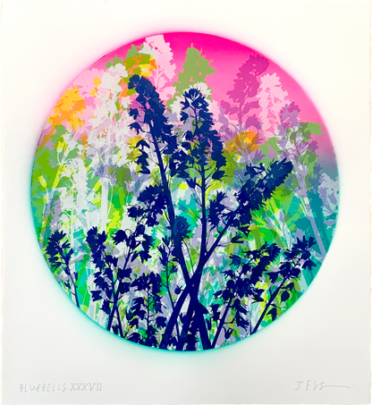 Bluebells 37