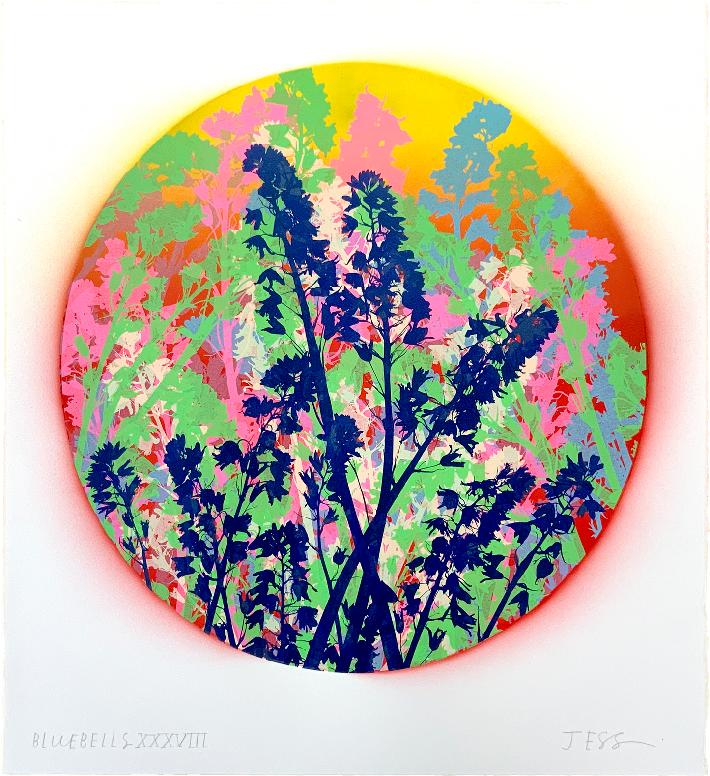 Bluebells 38